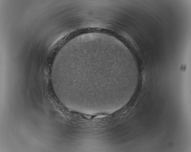 X0000114611064200911171030