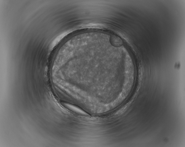 X0000114611066200911171030