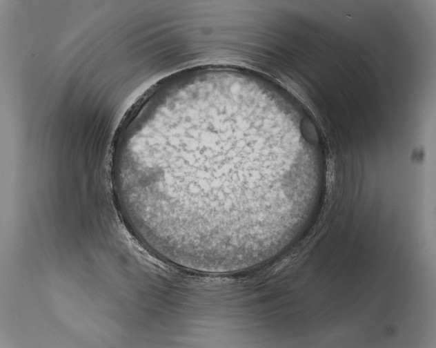 X0000114611068200911171029