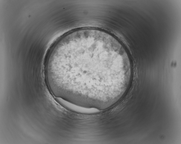 X0000114611072200911171029