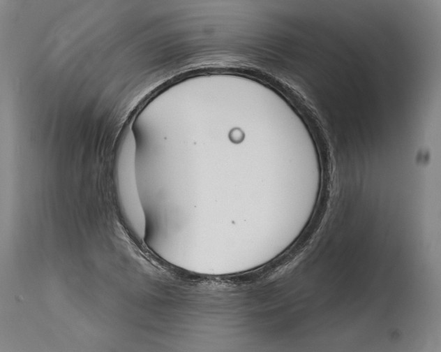 X0000114611073200911171029