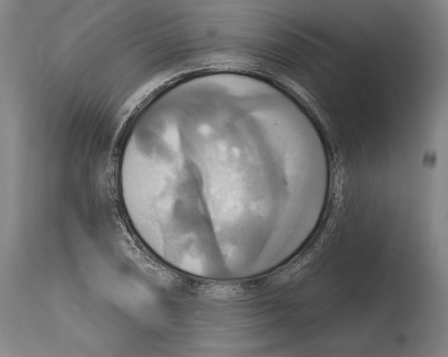 X0000114611074200911171029