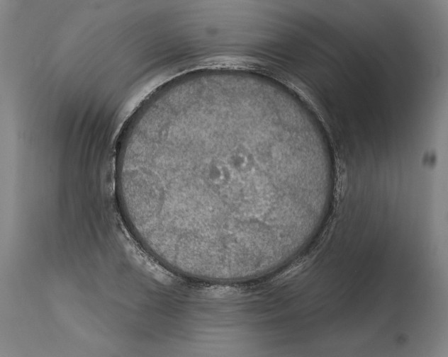 X0000114611075200911171029