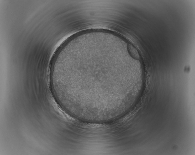 X0000114611076200911171029