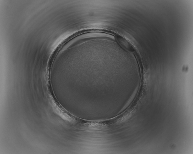 X0000114611077200911171029