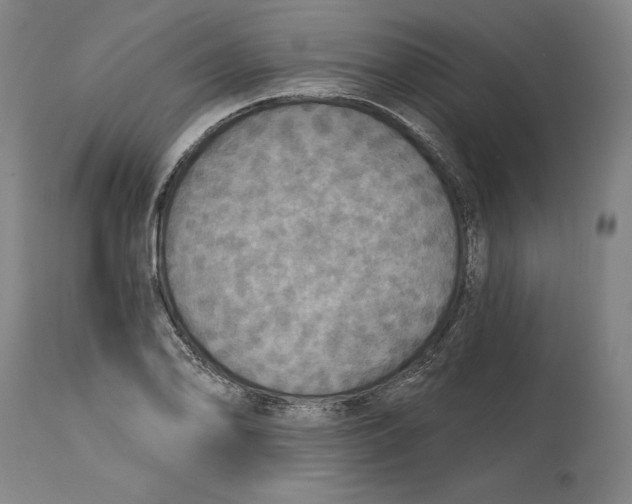 X0000114611078200911171029