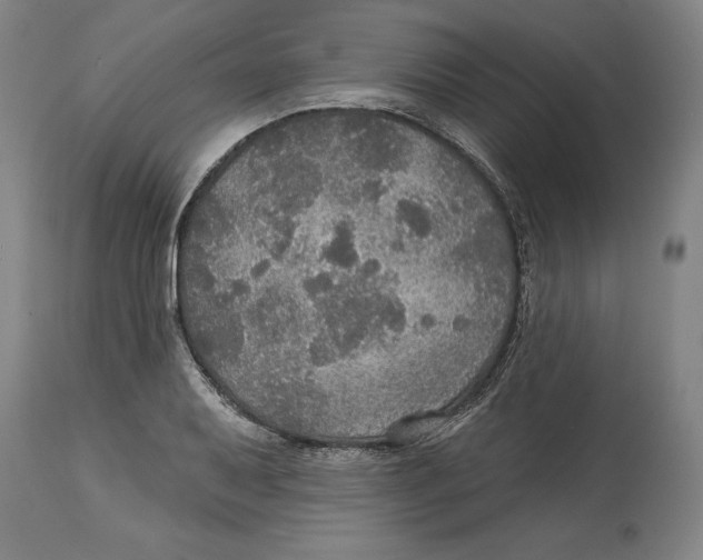 X0000114611079200911171029