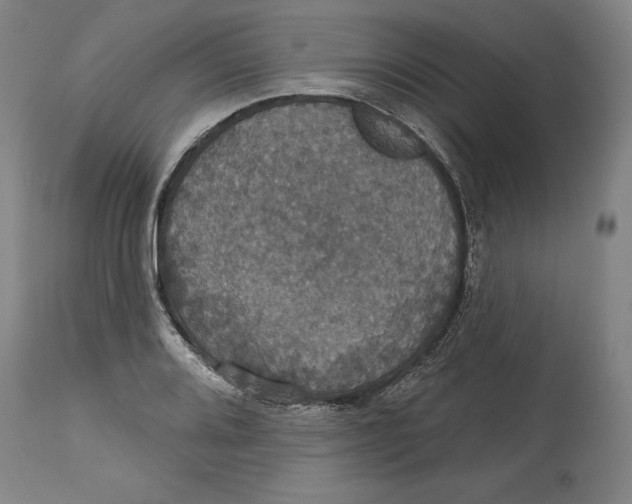 X0000114611080200911171029