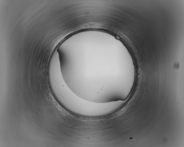 X0000114611081200911171029