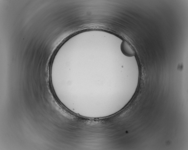 X0000114611082200911171029