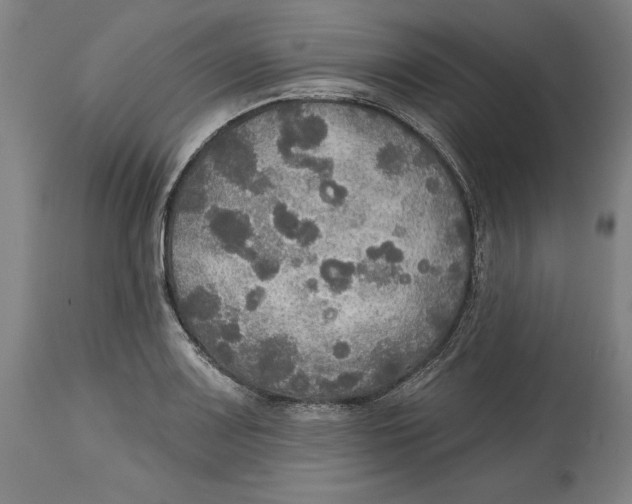 X0000114611083200911171029