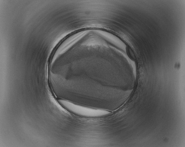 X0000114611084200911171029