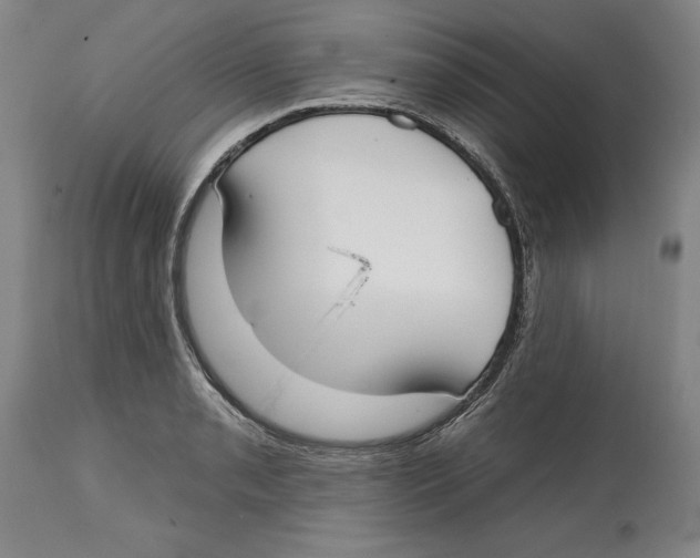 X0000114611085200911171029