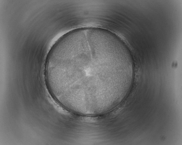 X0000114611086200911171029