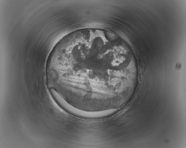 X0000114611087200911171029