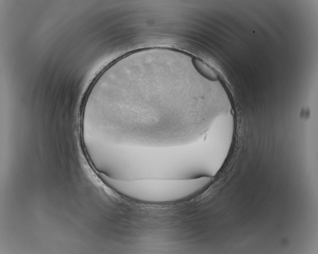 X0000114611088200911171029