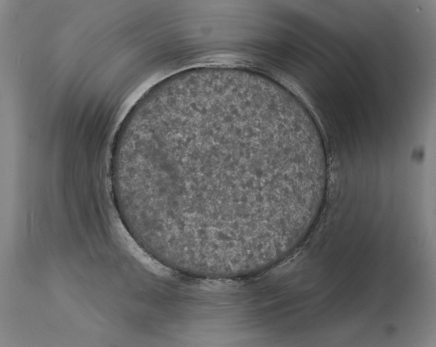 X0000114611091200911171029