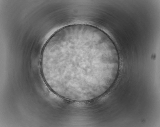 X0000114611094200911171029