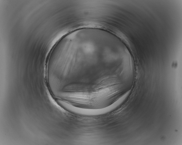 X0000114611095200911171029