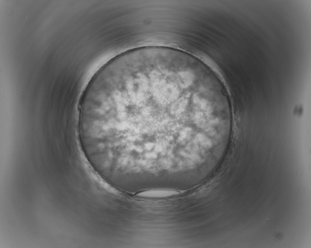 X0000114611096200911171029