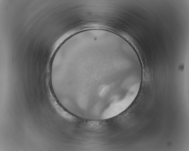 X0000114611098200911171029