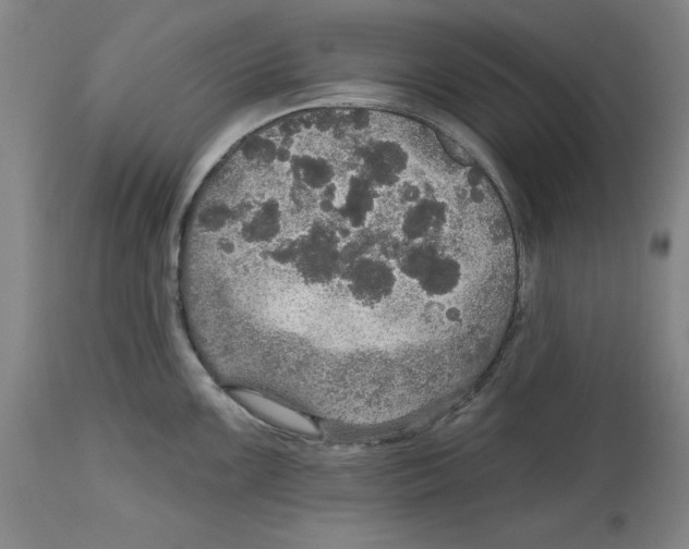 X0000114611099200911171029