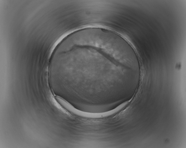 X0000114611100200911171029