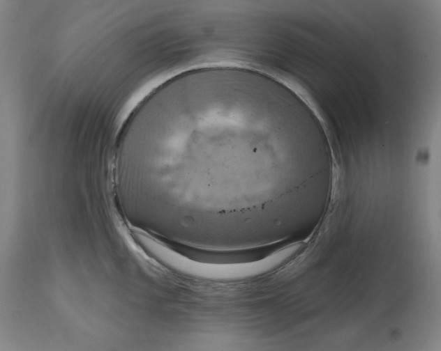 X0000114611101200911171029