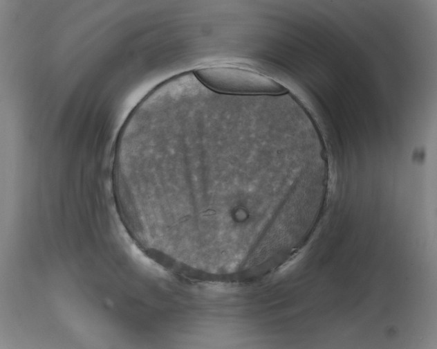 X0000114611102200911171029