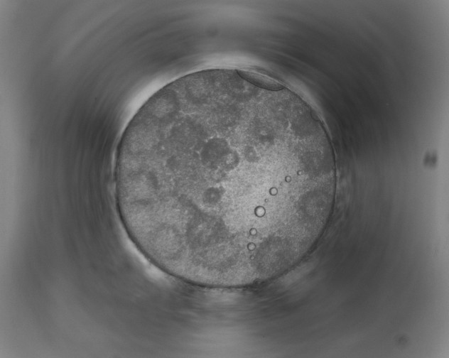 X0000114611103200911171029