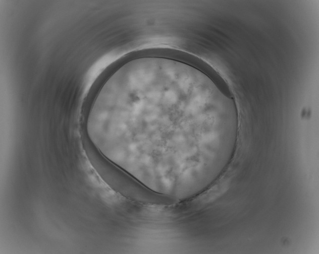 X0000114611104200911171029