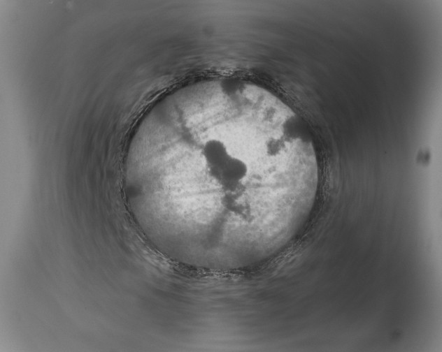 X0000114611105200911171028