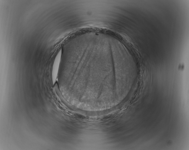 X0000114611110200911171028