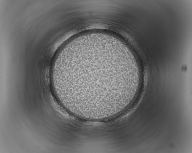 X0000114611113200911171028