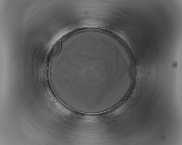 X0000114611114200911171028