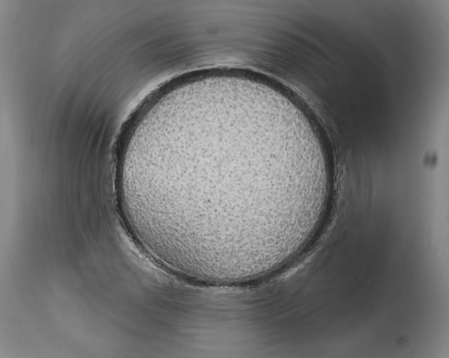 X0000114611118200911171029