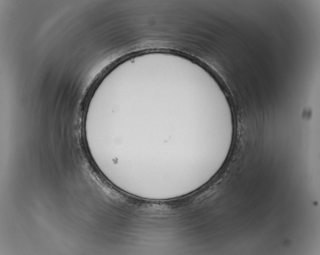 X0000114611119200911171029