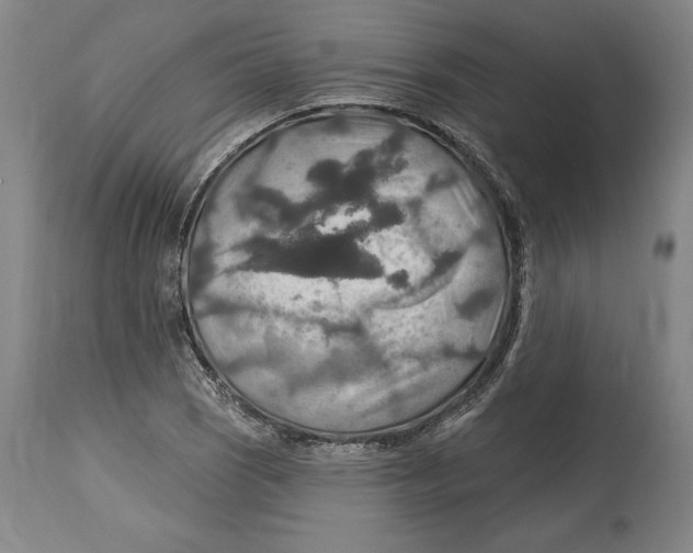 X0000114611121200911171029