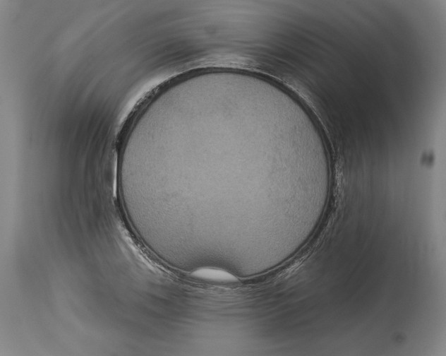 X0000114611123200911171029