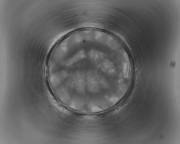 X0000114611125200911171029