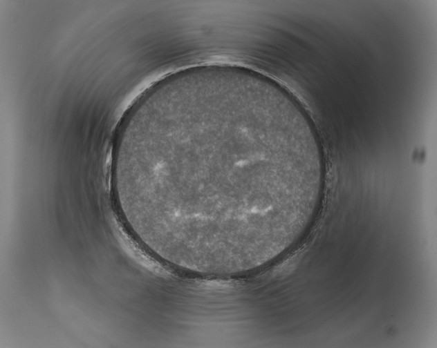 X0000114611126200911171029