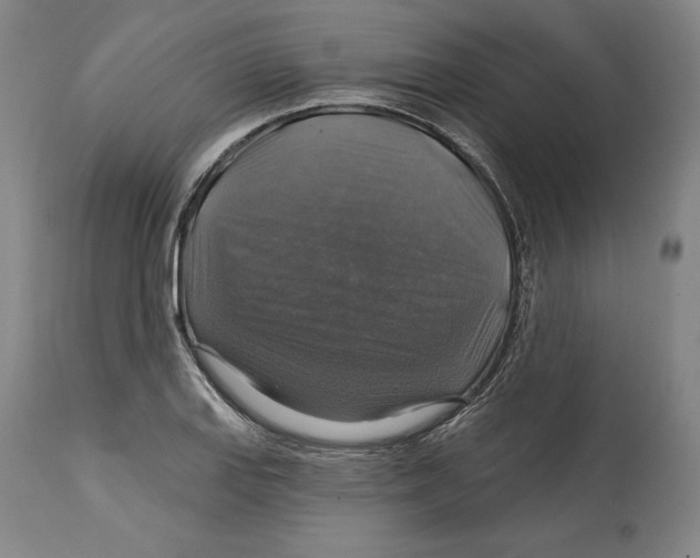 X0000114611127200911171029