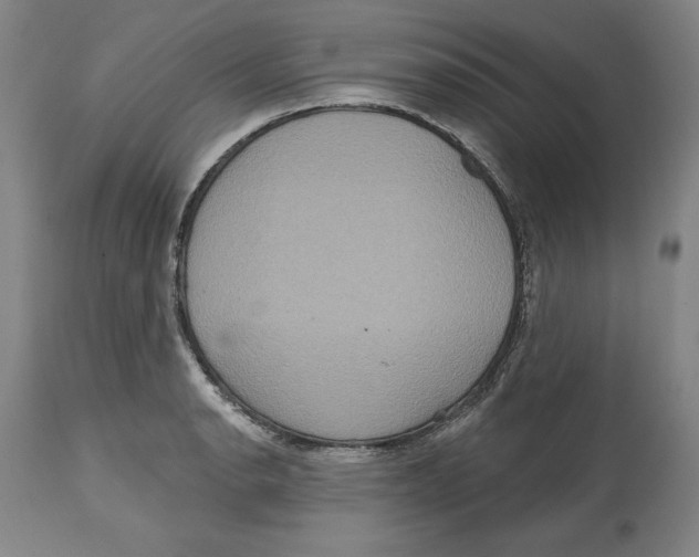 X0000114611134200911171029