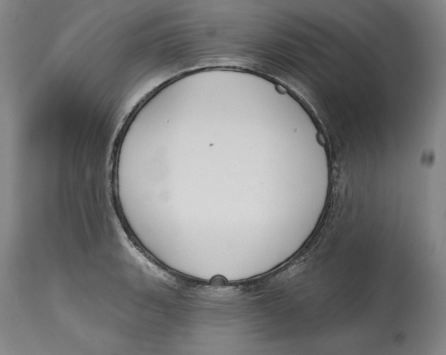 X0000114611135200911171029