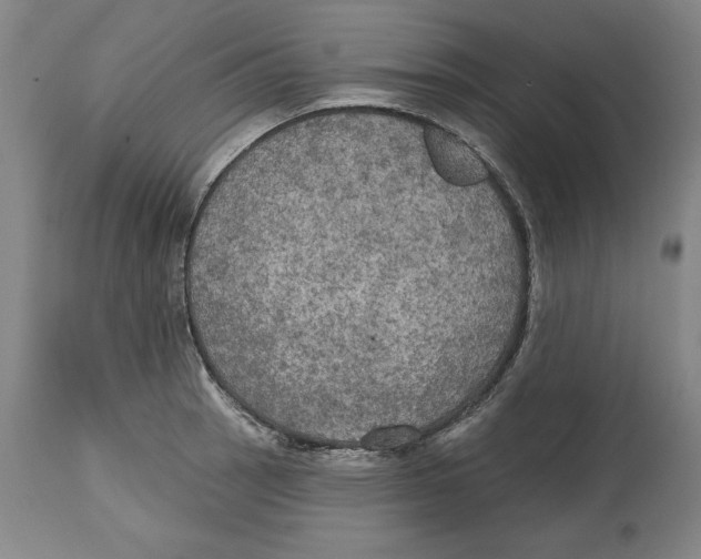 X0000114611137200911171029