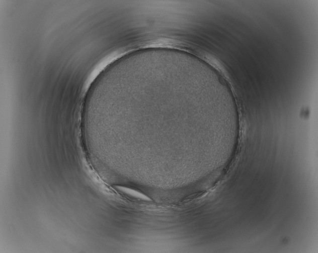 X0000114611138200911171029