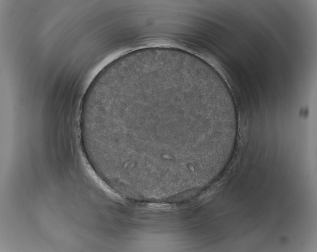 X0000114611142200911171029