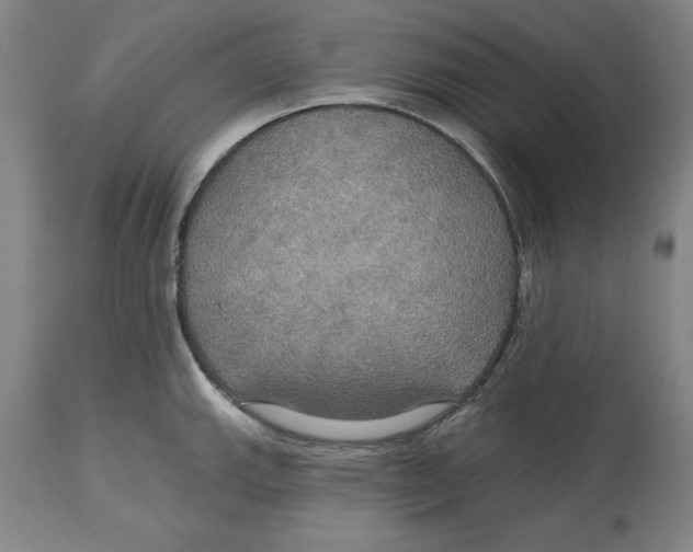 X0000114611143200911171029