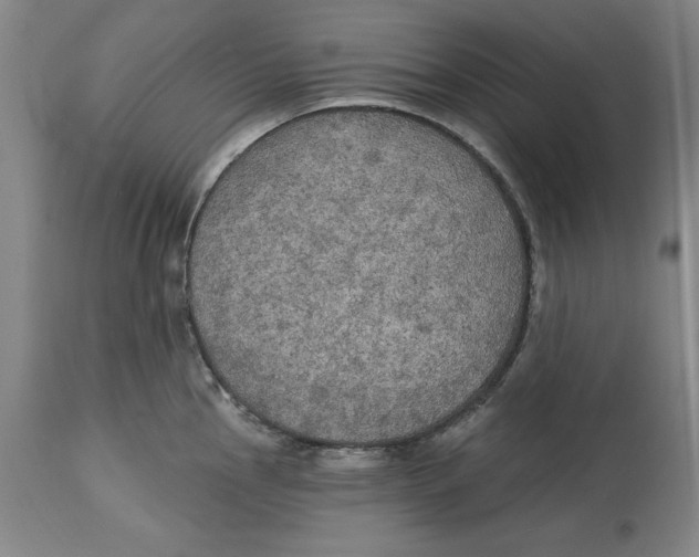 X0000114611145200911171029