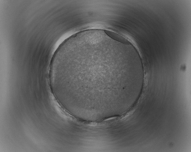 X0000114611146200911171029